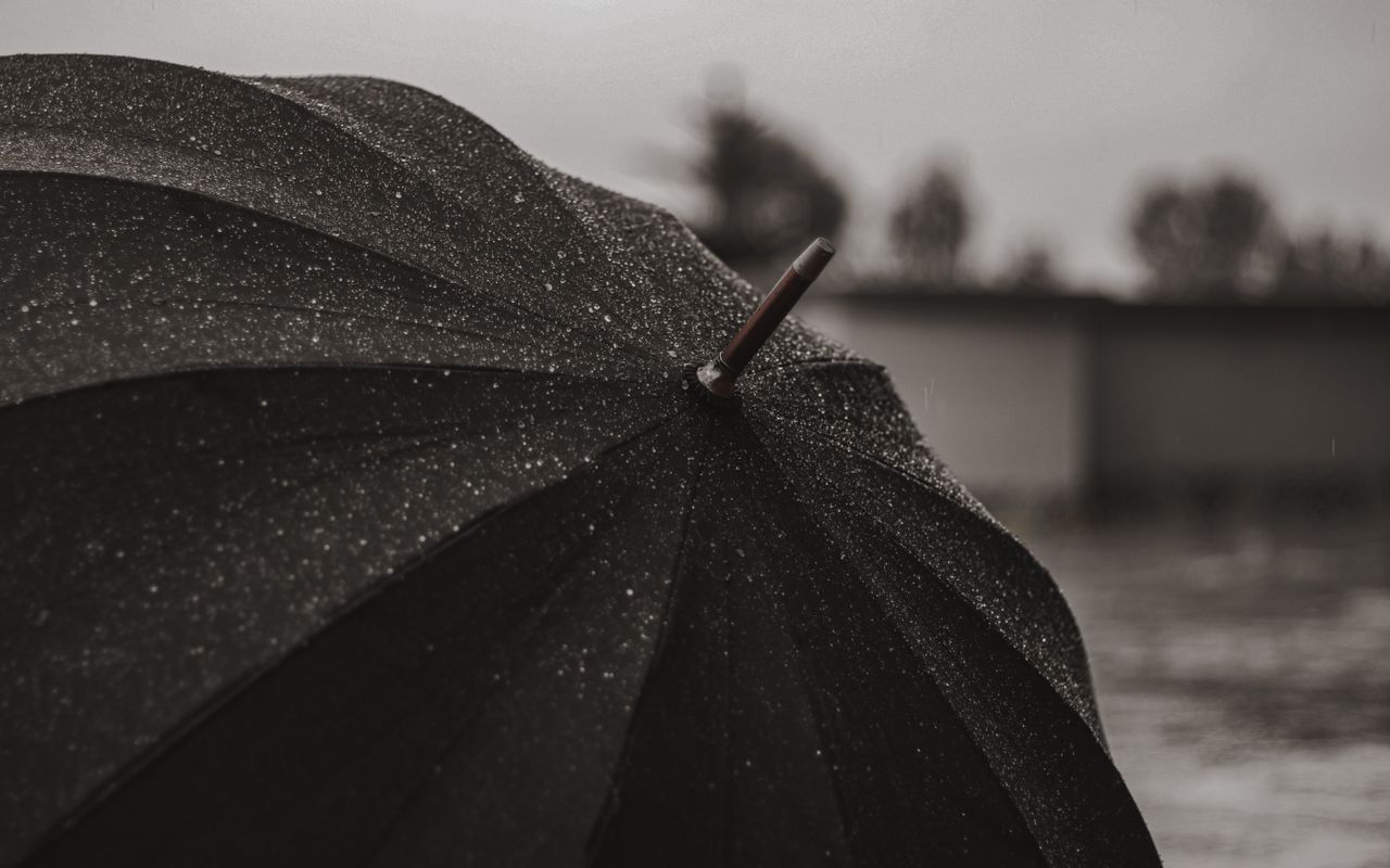 Monsoon rainy season hair fall control tips in Pakistan